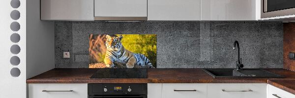 Cooker splashback Portrait of a tiger