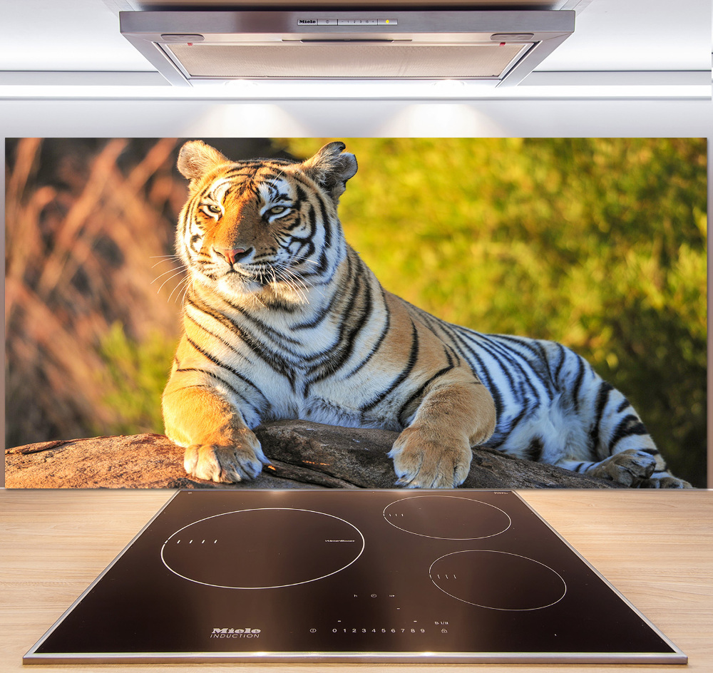 Cooker splashback Portrait of a tiger