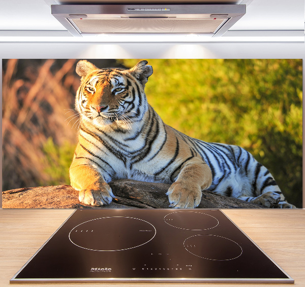 Cooker splashback Portrait of a tiger