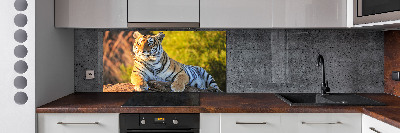 Cooker splashback Portrait of a tiger