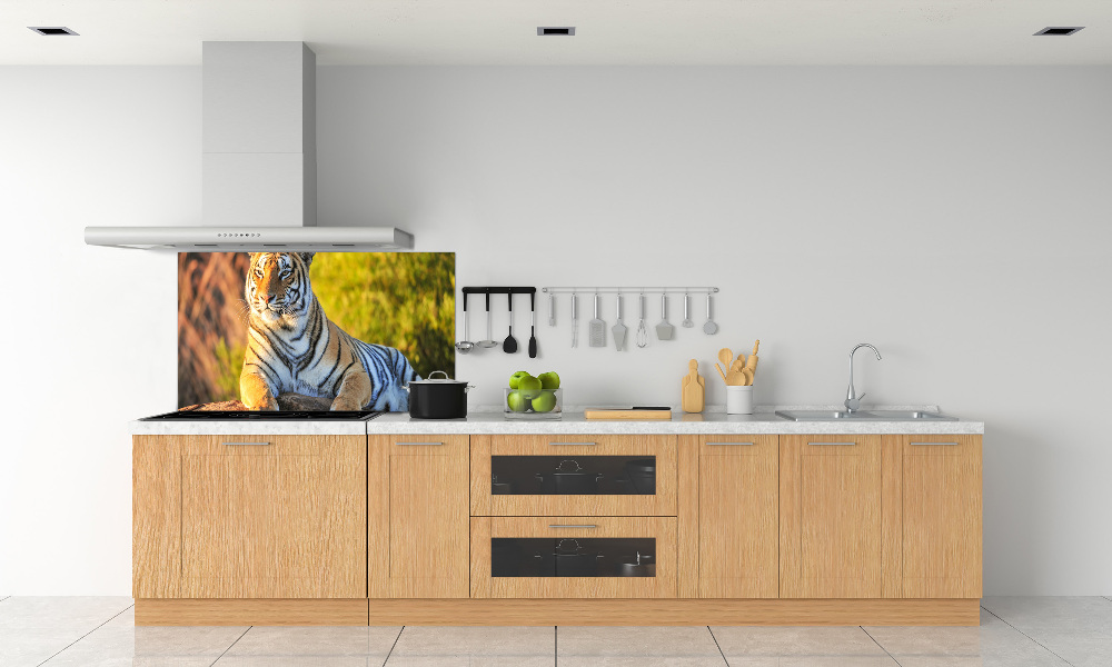 Cooker splashback Portrait of a tiger