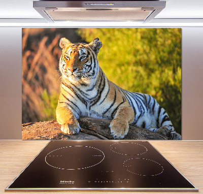 Cooker splashback Portrait of a tiger