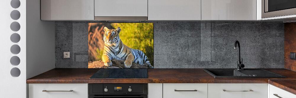 Cooker splashback Portrait of a tiger