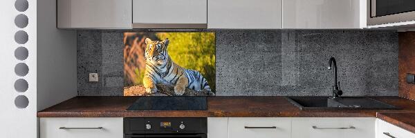 Cooker splashback Portrait of a tiger