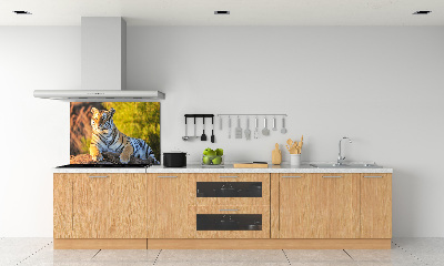 Cooker splashback Portrait of a tiger