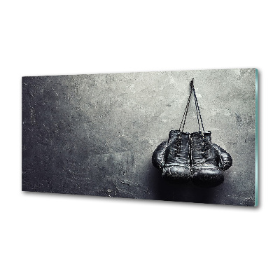 Cooker splashback Boxing gloves