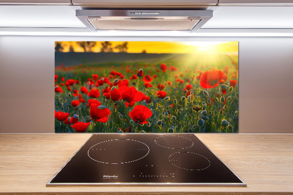 Cooker splashback Mak field