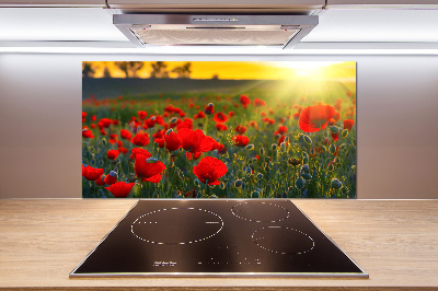 Cooker splashback Mak field