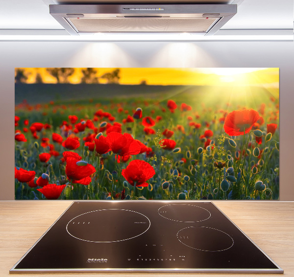 Cooker splashback Mak field