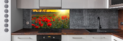 Cooker splashback Mak field