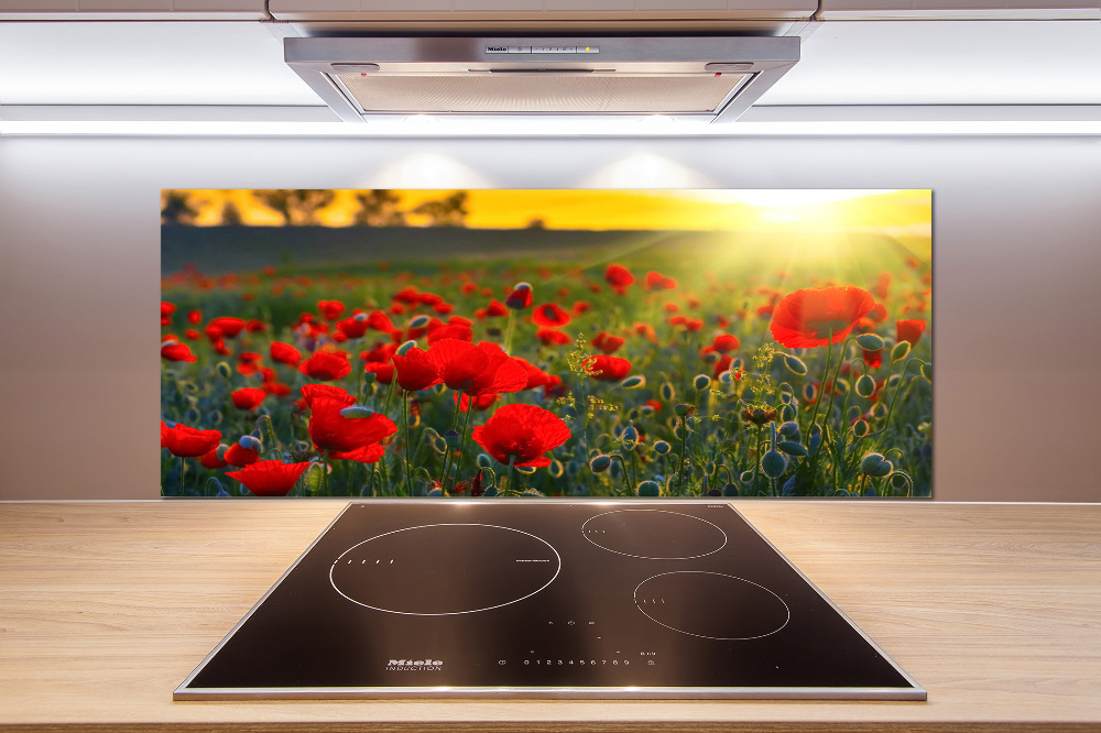 Cooker splashback Mak field