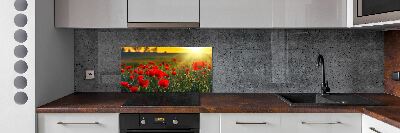 Cooker splashback Mak field