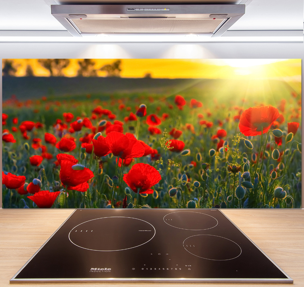 Cooker splashback Mak field