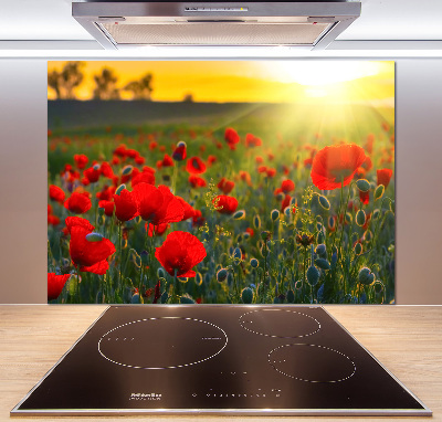 Cooker splashback Mak field