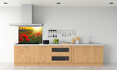 Cooker splashback Mak field