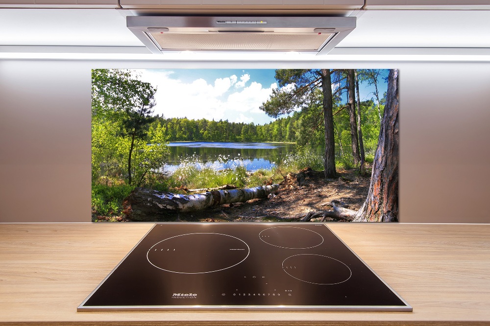 Cooker splashback Forest panorama