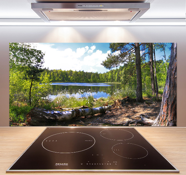 Cooker splashback Forest panorama