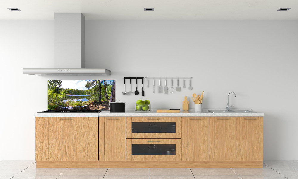 Cooker splashback Forest panorama