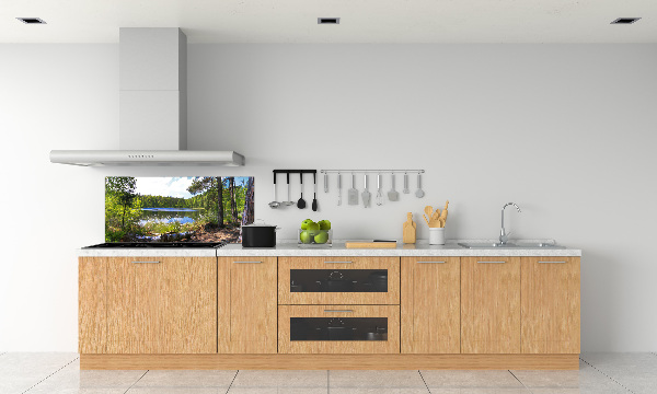 Cooker splashback Forest panorama