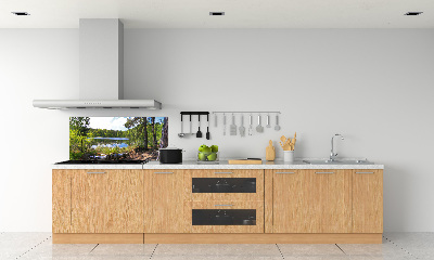 Cooker splashback Forest panorama