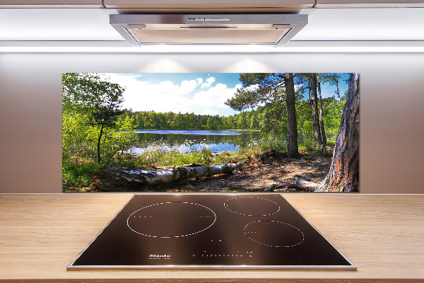 Cooker splashback Forest panorama