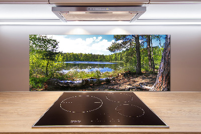 Cooker splashback Forest panorama