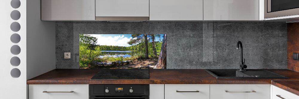 Cooker splashback Forest panorama