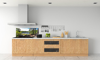 Cooker splashback Forest panorama