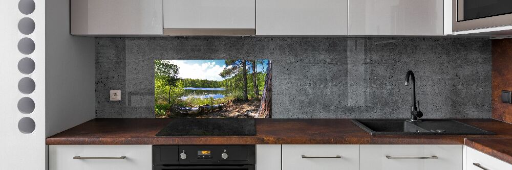 Cooker splashback Forest panorama