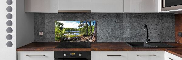 Cooker splashback Forest panorama