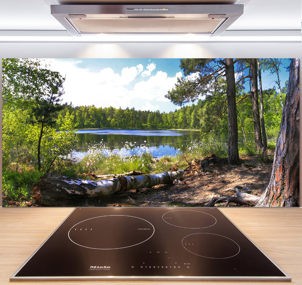 Cooker splashback Forest panorama