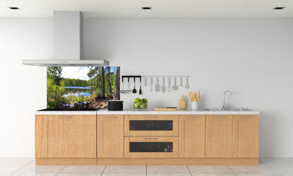 Cooker splashback Forest panorama