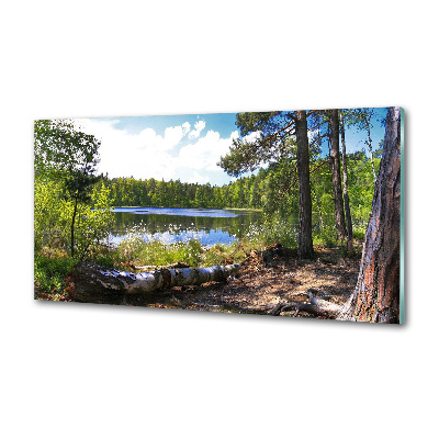 Cooker splashback Forest panorama