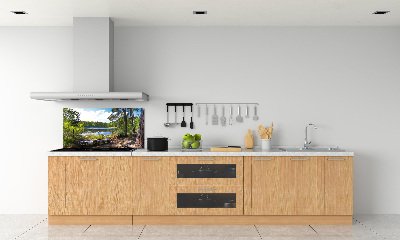 Cooker splashback Forest panorama