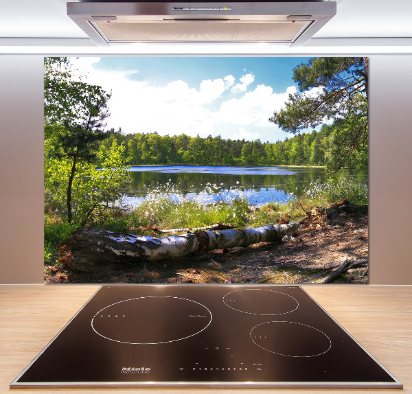 Cooker splashback Forest panorama