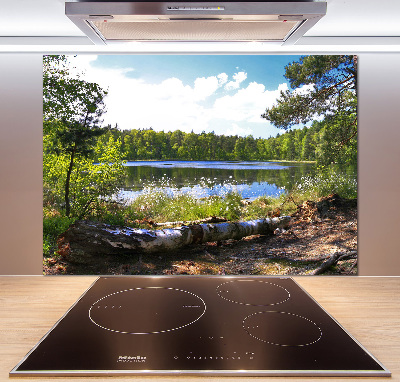 Cooker splashback Forest panorama