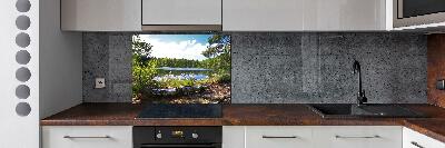 Cooker splashback Forest panorama