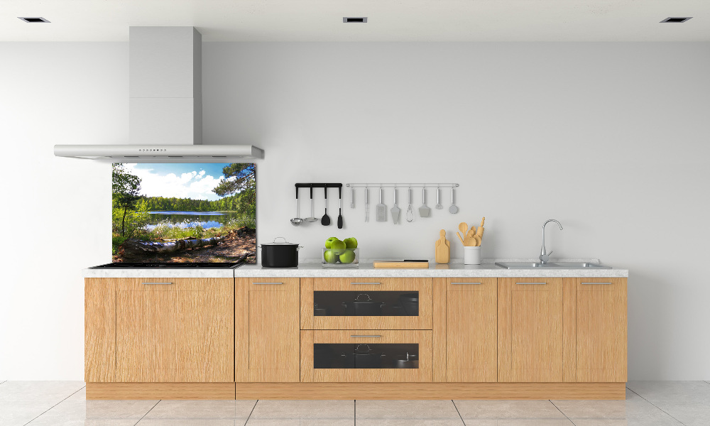 Cooker splashback Forest panorama