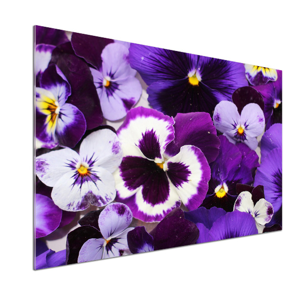 Cooker splashback Pansies