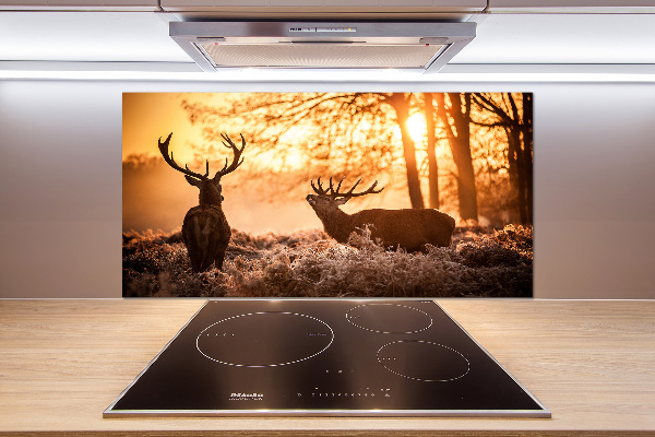 Cooker splashback East deer