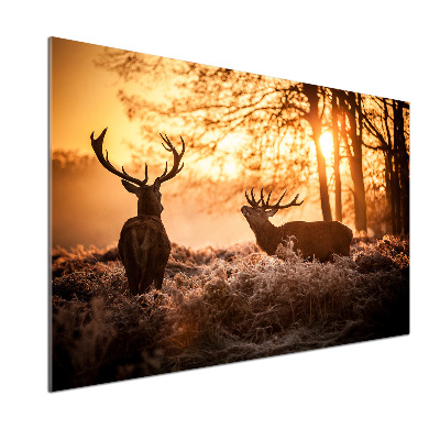 Cooker splashback East deer