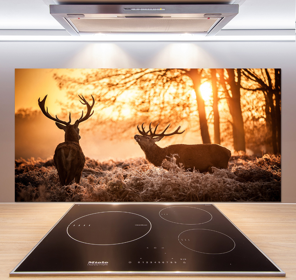 Cooker splashback East deer