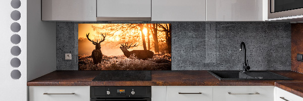 Cooker splashback East deer