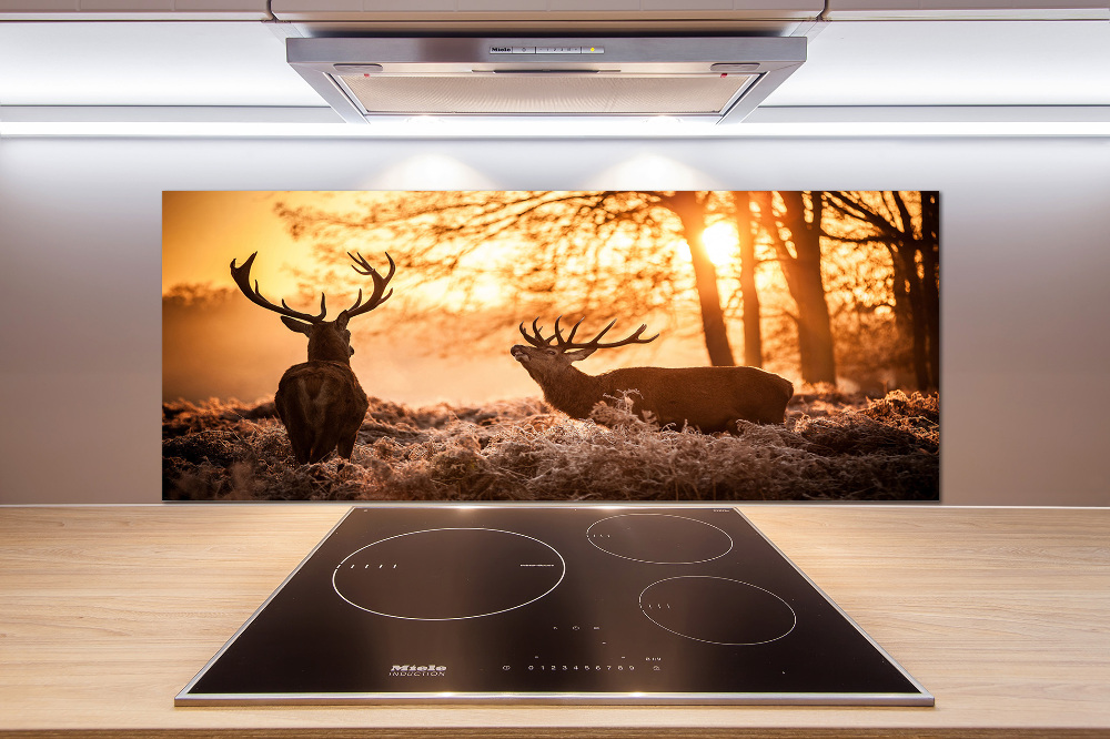 Cooker splashback East deer