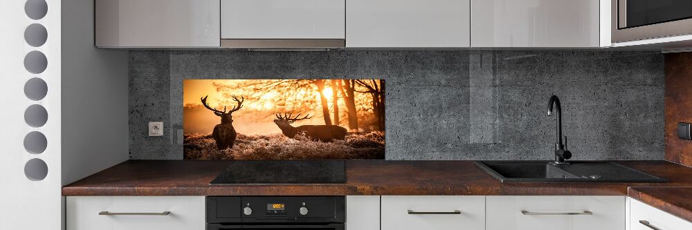 Cooker splashback East deer