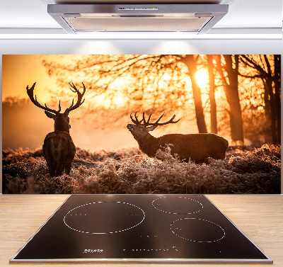 Cooker splashback East deer