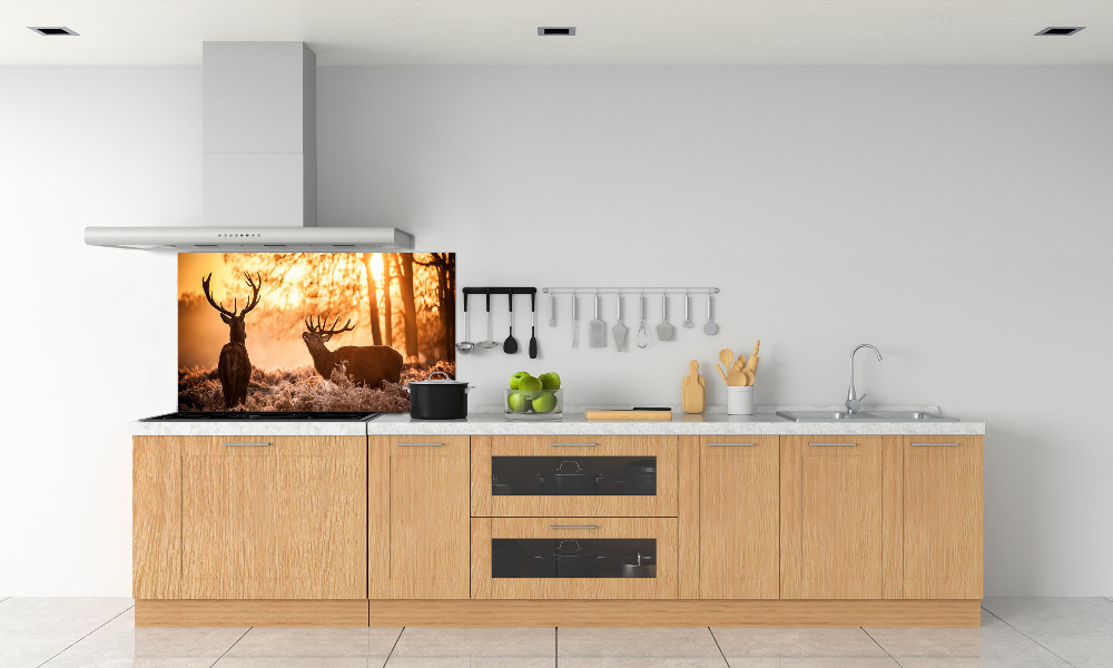 Cooker splashback East deer