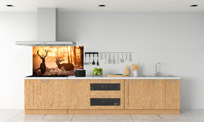 Cooker splashback East deer