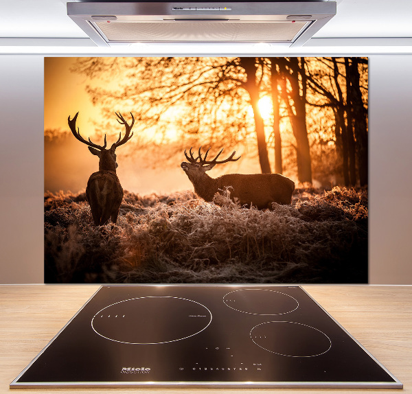 Cooker splashback East deer