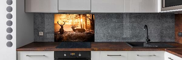 Cooker splashback East deer